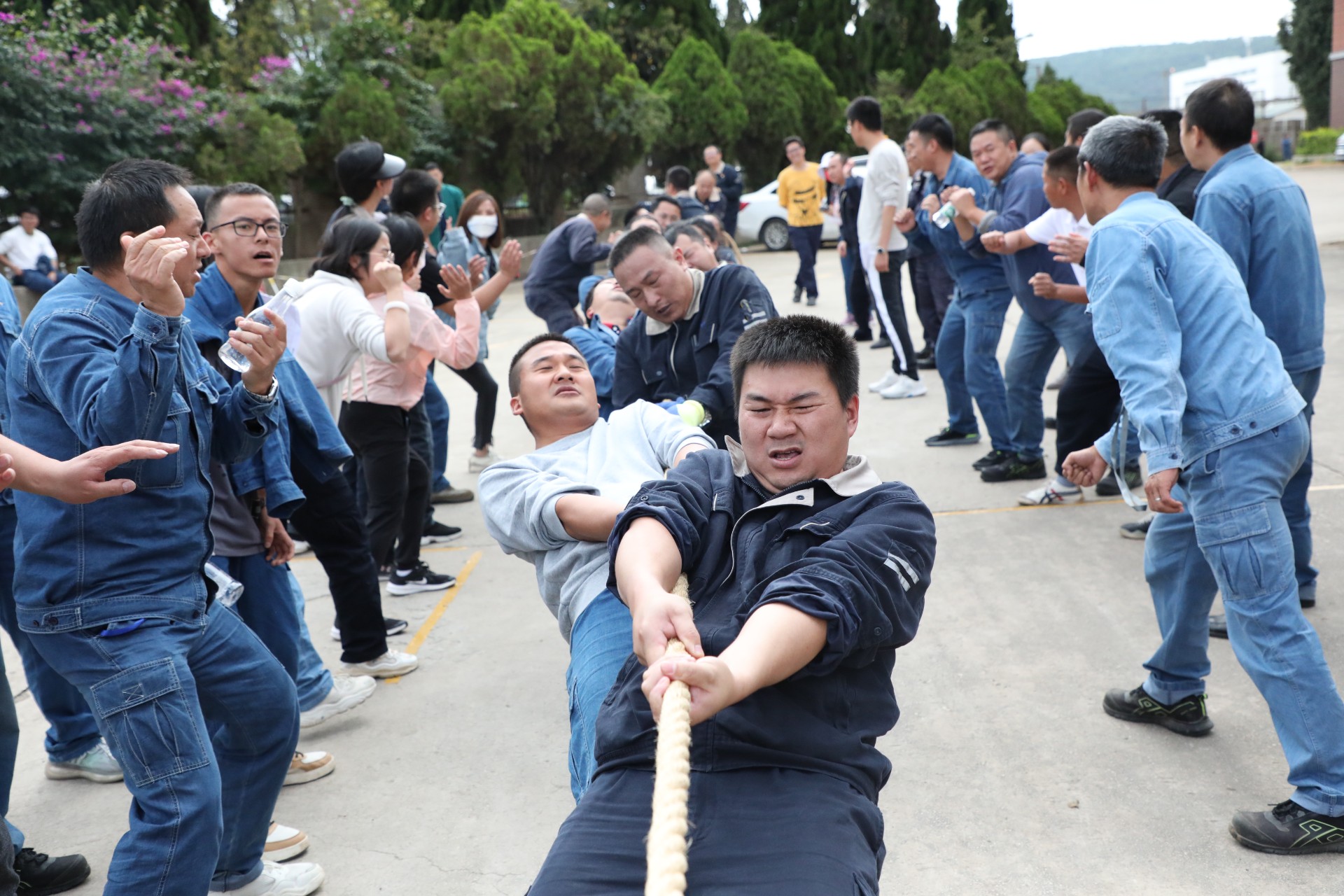 職工拔河比賽