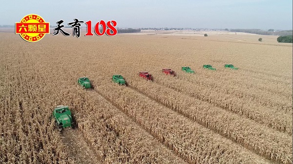吉林云天化喜獲“育繁推一體化”生產(chǎn)經(jīng)營許可證