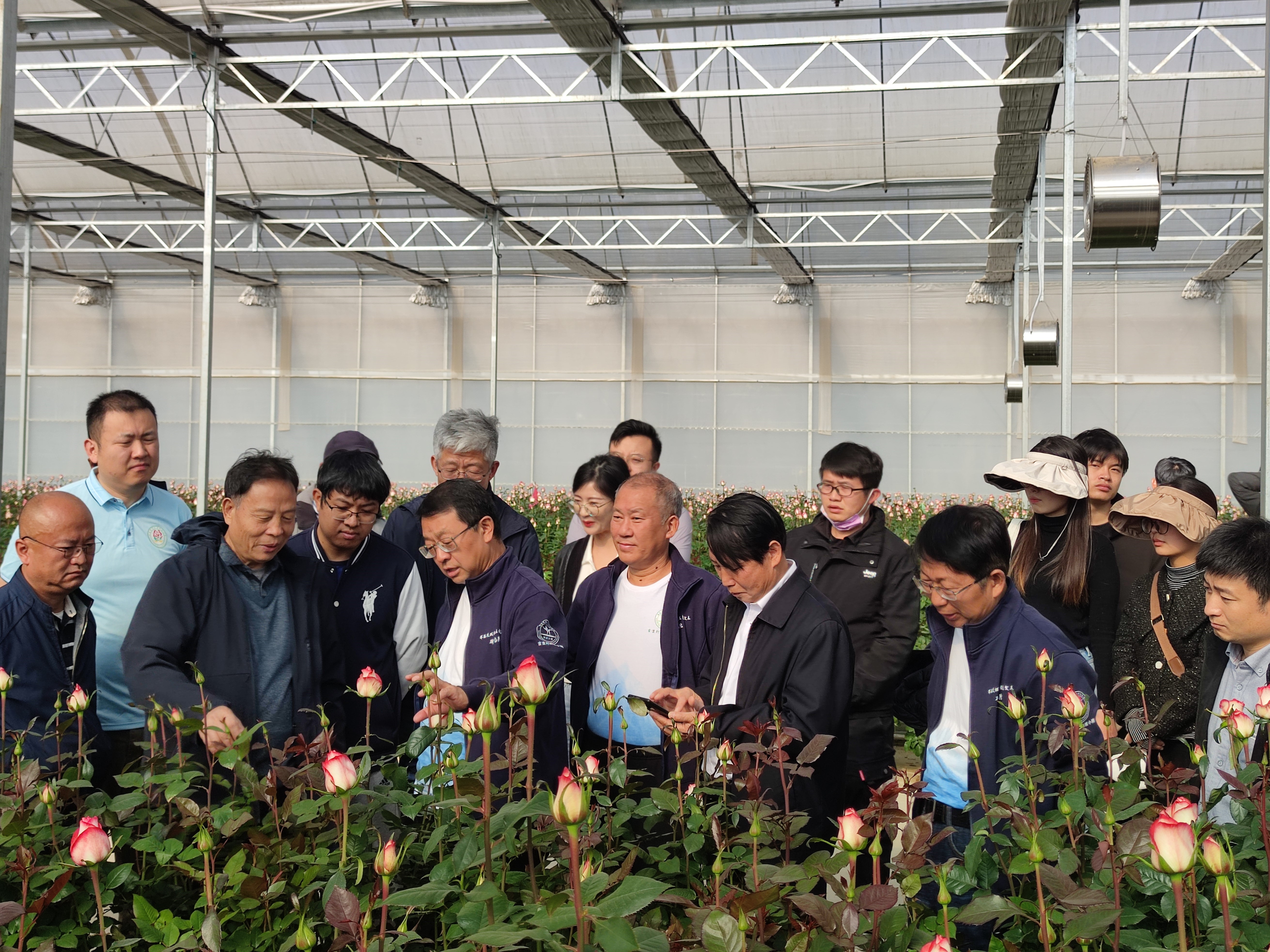 張福鎖院士一行到花匠鋪寶峰基地調(diào)研指導(dǎo)花卉種業(yè)創(chuàng)新、花卉質(zhì)量提升等工作